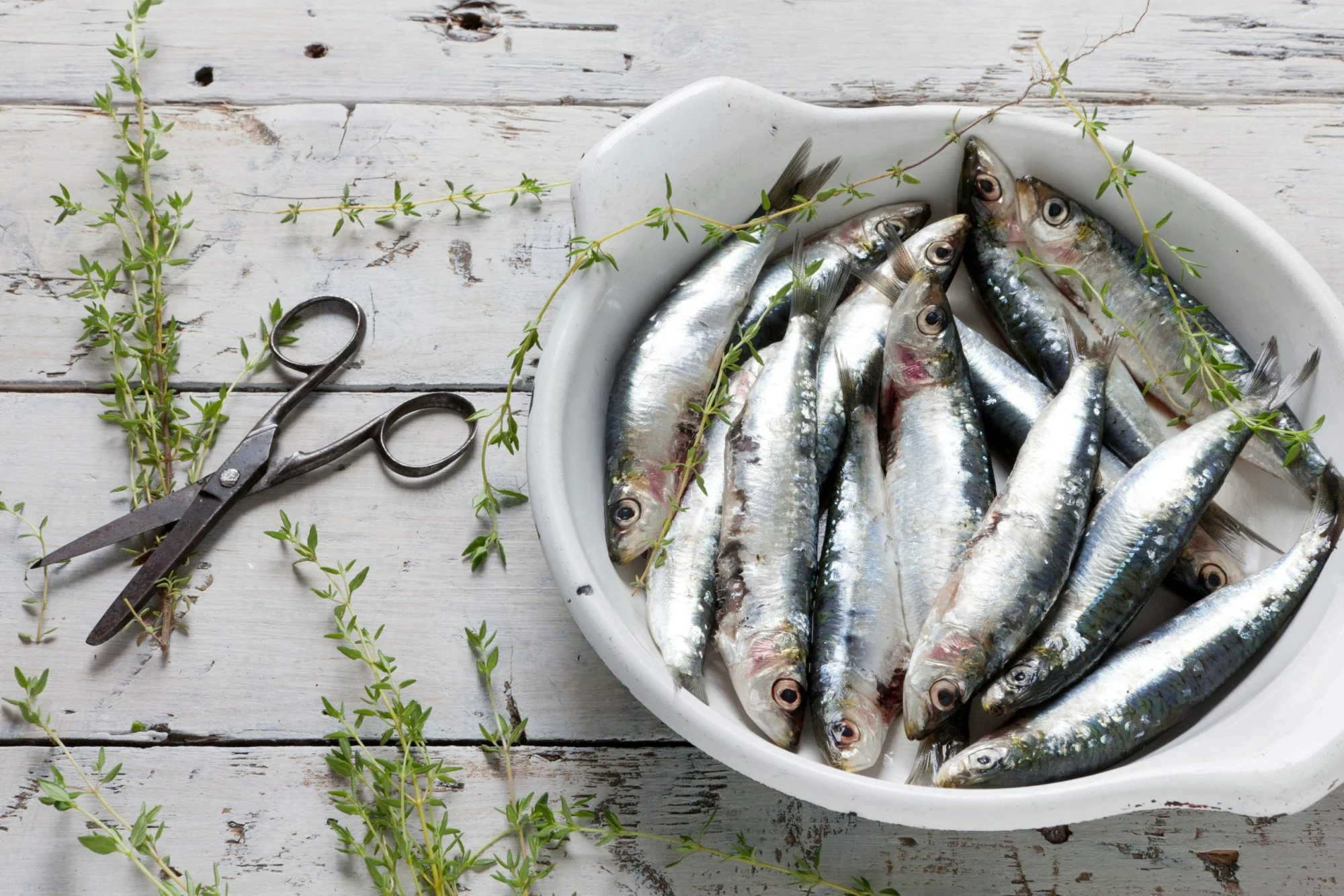What You Don’t Know About Sardines