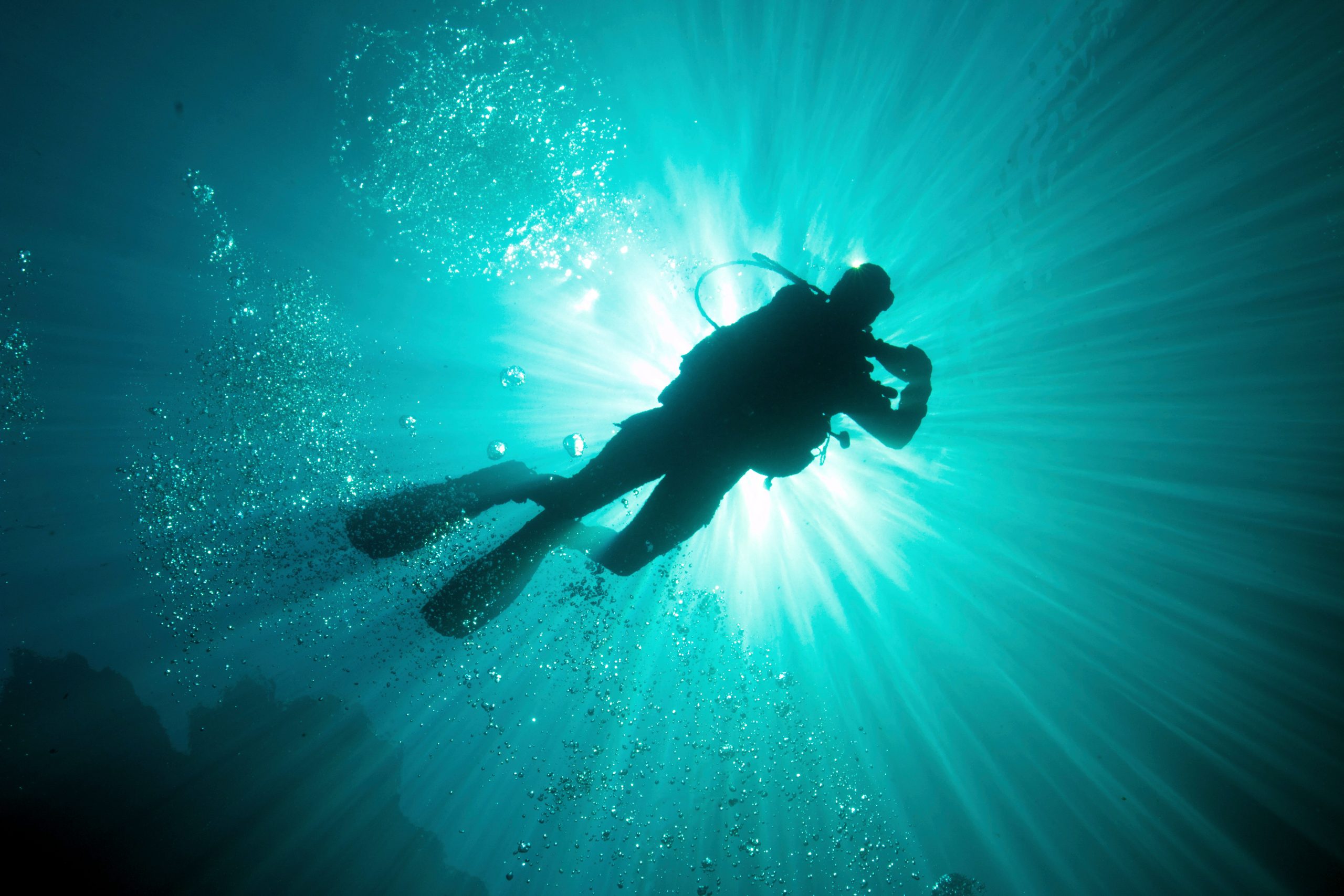 Diving Into the Record Books